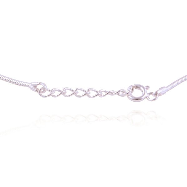 ANKLETS 925 ST - 10932 - Image 3